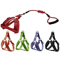 Dog Cat Training Leash Dog Leash Pet Walking Leash Retractable Escape Proof With Anti-Slip Handle Outdoor Walking Solid Colored Nylon Small Dog Medium Dog Black Red Blue Orange Green miniinthebox