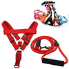 Dog Cat Training Leash Dog Leash Pet Walking Leash Retractable Escape Proof With Anti-Slip Handle Outdoor Walking Solid Colored Nylon Small Dog Medium Dog Black Red Blue Pink Orange miniinthebox