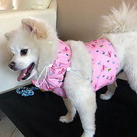 Dog Cat Vest Elegant Adorable Cute Dailywear Casual / Daily Dog Clothes Puppy Clothes Dog Outfits Breathable Blue Pink Green Costume for Girl and Boy Dog Polyester S M L miniinthebox
