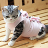 Dog Cat Vest Elegant Adorable Cute Dailywear Casual / Daily Dog Clothes Puppy Clothes Dog Outfits Breathable White / White White Pearl Pink Costume for Girl and Boy Dog Fabric S M L miniinthebox