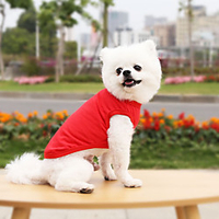 Dog Cat Vest Elegant Adorable Cute Dailywear Casual / Daily Dog Clothes Puppy Clothes Dog Outfits Breathable White Purple Yellow Costume for Girl and Boy Dog Cotton XS S M L XL XXL miniinthebox