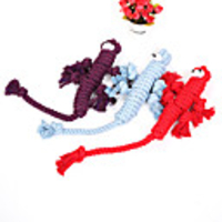 Dog Chew Toys Interactive Toy Dog Cat Pet Toy 1pc Pet Friendly Cotton Gift