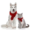 Dog Christmas Dog Scarf Cartoon Winter Dog Clothes Puppy Clothes Dog Outfits Red Pink Green Costume for Girl and Boy Dog Plush Fabric S M L miniinthebox