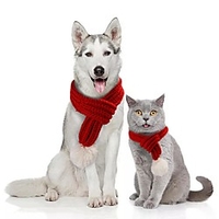 Dog Christmas Dog Scarf Cartoon Winter Dog Clothes Puppy Clothes Dog Outfits Red Pink Green Costume for Girl and Boy Dog Plush Fabric S M L miniinthebox
