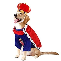 Dog Clothes Dog Hat and Cloak Set Party Costume Soft Two-Piece Cloak Dog Crown Hat King Cloak for Dogs Cats Pet Halloween Funny Headgear miniinthebox