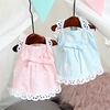 Dog Clothes Lace Skirt Pet Clothing Pet Supplies Wholesale Teddy VIP Medium Kitten and Dog Clothes miniinthebox