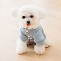 Dog Coat Bear Casual / Sporty Cute Casual / Daily Winter Dog Clothes Breathable Yellow Blue Costume Cotton XS S M L XL XXL