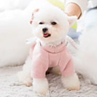 Dog Coat Bowknot Casual / Sporty Cute Casual / Daily Winter Dog Clothes Breathable White Pink Gray Costume Fleece XS S M L XL XXL