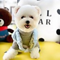Dog Coat Bowknot Cute Adorable Casual / Daily Outdoor Winter Dog Clothes Puppy Clothes Dog Outfits Breathable Blue Pink Costume for Girl and Boy Dog Cotton S M L XL XXL