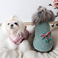 Dog Coat Bowknot Sweet Cute Casual / Daily Winter Dog Clothes Warm Pink Green Costume Fabric XS S M L XL