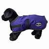 dog coat,  dark purple,  small