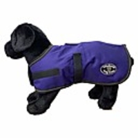 dog coat,  dark purple,  small