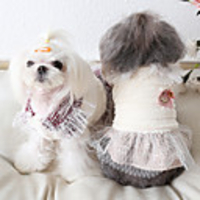 Dog Coat Dress Color Block Cute Casual / Daily Winter Dog Clothes Warm Red Pink Costume Fabric XS S M L XL