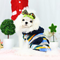 Dog Coat Fashion Winter Dog Clothes Breathable Blue Khaki Costume Cotton XS S M L XL