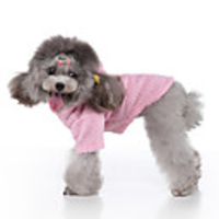 Dog Coat Hoodie Character Cute Casual / Daily Winter Dog Clothes Warm Blue Pink Costume Polyster S M L XL