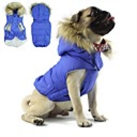 Dog Coat Hoodie Color Block Keep Warm Sports Outdoor Winter Dog Clothes Red Blue Pink Costume Cotton S M L XL