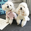 Dog Coat Hoodie Letter Number Casual / Sporty Cute Casual / Daily Winter Dog Clothes Breathable White Pink Costume Fleece S M L XL XXL