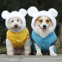Dog Coat Jacket Solid Colored Sweet Cute Casual / Daily Outdoor Winter Dog Clothes Puppy Clothes Dog Outfits Breathable Yellow Blue Costume for Girl and Boy Dog Fleece L XL XXL 3XL