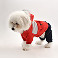 Dog Coat Jumpsuit Color Block Casual / Sporty Fashion Casual / Daily Winter Dog Clothes Breathable Red Blue Gray Costume Fleece S M L XL XXL