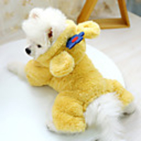 Dog Coat Jumpsuit Flower Casual / Sporty Cute Casual / Daily Winter Dog Clothes Breathable Yellow Costume Cotton XS S M L XL