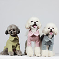 Dog Coat Jumpsuit Solid Colored Classic Style Cute Casual / Daily Outdoor Winter Dog Clothes Puppy Clothes Dog Outfits Breathable Blue Pink Green Costume for Girl and Boy Dog Cotton S M L XL XXL