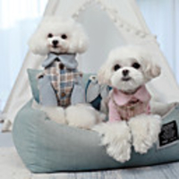 Dog Coat Plaid / Check Elegant British Casual / Daily Outdoor Winter Dog Clothes Puppy Clothes Dog Outfits Breathable Blue Pink Costume for Girl and Boy Dog Cotton S M L XL XXL