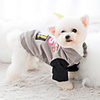 Dog Coat"es Sayings Casual / Sporty Fashion Casual / Daily Winter Dog Clothes Breathable Pink Gray Costume Fleece XS S M L XL
