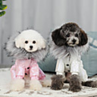 Dog Coat Solid Colored Casual / Sporty Fashion Casual / Daily Winter Dog Clothes Breathable White Fuchsia Blue Costume Cotton S M L XL XXL