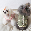 Dog Coat Solid Colored Sweet Cute Casual / Daily Winter Dog Clothes Warm Pink Green Coffee Costume Fabric XS S M L XL