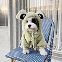 Dog Coat Sweater Animal Fashion Cute Casual / Daily Winter Dog Clothes Puppy Clothes Dog Outfits Breathable Green Costume for Girl and Boy Dog Plush S M L XL XXL 3XL
