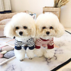 Dog Coat Sweatshirt Stripes Casual / Sporty Cute Casual / Daily Winter Dog Clothes Breathable Yellow Red Blue Costume Cotton S M L XL XXL