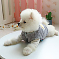 Dog Coat Vest Character Casual / Sporty Cute Casual / Daily Winter Dog Clothes Breathable Purple Blue Gray Costume Polyster XS S M L XL