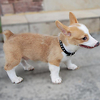 Dog Collar boy and Girl Dog Collars Dog Collars for Medium Dogs Leather Dog Collar Adjustable pet Collar miniinthebox
