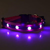 Dog Collar Light Up Collar Reflective LED Lights Nylon Purple Yellow