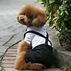 Dog Costume Dress Tuxedo Color Block Cosplay Wedding Party Winter Dog Clothes Black / White Costume Terylene S M L XL XXL