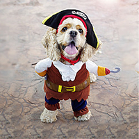 Dog Costume Hoodie Christmas British Party Cosplay Fashion Winter Dog Clothes Puppy Clothes Dog Outfits Coffee Costume for Girl and Boy Dog Polyester S M L XL
