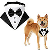 Dog Dog Bandana Dog Bibs Scarf Triangle Bibs Accessories Dog Clothes Adjustable Black Red Blue Wedding Costume Husky Golden Retriever Corgi Cotton Bowknot Party Cute S M L
