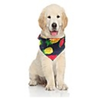 Dog Dog Bandana Dog Bibs Scarf Triangle Bibs Accessories Dog Clothes Adjustable Light Yellow Blue-Yellow White Costume Golden Retriever Corgi Shiba Inu Fabric Fruit Casual / Sporty Cute S M