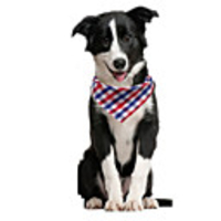 Dog Dog Bandana Dog Bibs Scarf Triangle Bibs Accessories Dog Clothes Adjustable Red / Orange Red / Blue Red / Green Costume Husky Golden Retriever Corgi Cotton Plaid / Check Casual / Sporty Cute S M