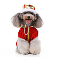 Dog Halloween Costumes Costume Dress Prince Casual / Sporty Cute Christmas Party Dog Clothes Breathable Red Costume Polyester S M L XL