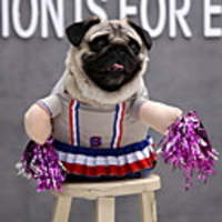 Dog Halloween Costumes Costume Puppy Clothes Solid Colored Hotdog Fun Whimsical Cosplay Halloween Holiday Winter Dog Clothes Puppy Clothes Dog Outfits Purple Costume for Girl and Boy Dog Polyster S