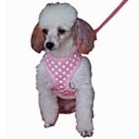 Dog Harness Leash Breathable Adjustable / Retractable Soft Running Vest Casual Cosplay Solid Colored Fabric Mesh Pink Green