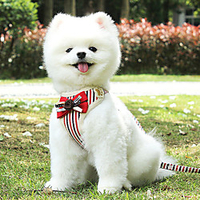Dog Harness Leash Casual Safety Square Stripes Polyester Poodle Pomeranian Toy Poodle puppy Small Dog Medium Dog Camouflage Color Stripe Fuchsia Pink Gray miniinthebox