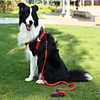 Dog Harness Leash Portable Vest Color Block Nylon Purple Red
