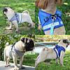 Dog Harness Leash Reflective Band Reflective Portable Trainer Walking Adjustable Size Vest Solid Colored Polyester 100g / m2 Polyester Knit Stretch Husky Labrador Alaskan Malamute Golden Retriever