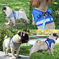 Dog Harness Leash Reflective Band Reflective Portable Trainer Walking Adjustable Size Vest Solid Colored Polyester 100g / m2 Polyester Knit Stretch Husky Labrador Alaskan Malamute Golden Retriever
