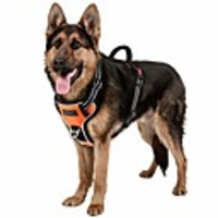 dog harness no-pull pet harness adjustable outdoor pet reflective vest dog walking harness with postpositive d-ring buckle and handle for small medium large dogs bright orange