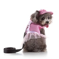 Dog Harness Vest Spots Checks Solid Colored Fashion Cute Holiday Casual / Daily Dog Clothes Puppy Clothes Dog Outfits Soft Black / Red Black Blue Costume for Girl and Boy Dog Polyester XS S M miniinthebox