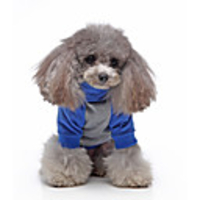 Dog Hoodie Color Block Cute Casual / Daily Winter Dog Clothes Warm Fuchsia Blue Gray Costume Cotton Polyster S M L XL