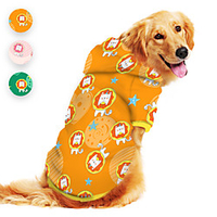 Dog Hoodie Lion Animal Cartoon Elegant Cute Casual / Daily Dog Clothes Puppy Clothes Dog Outfits Breathable Yellow Pink Green Costume for Girl and Boy Dog Polyster S M L XL